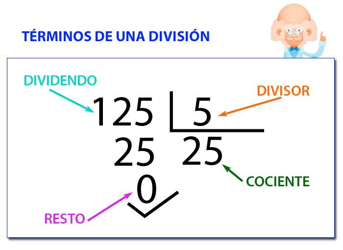 Divisiones 