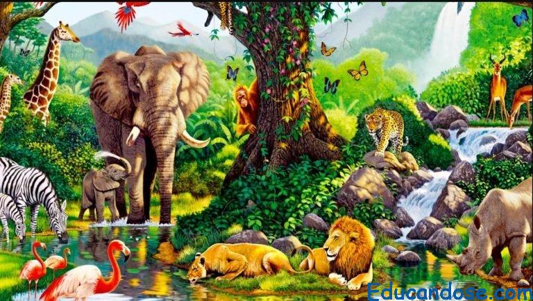 Características de los componentes abióticos y bióticos