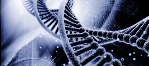 Ingeniería genética