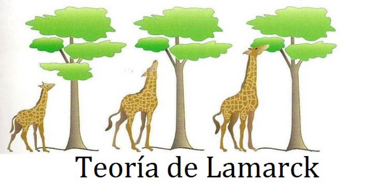 Teorías para explicar el proceso evolutivo: Teoría de Lamarck